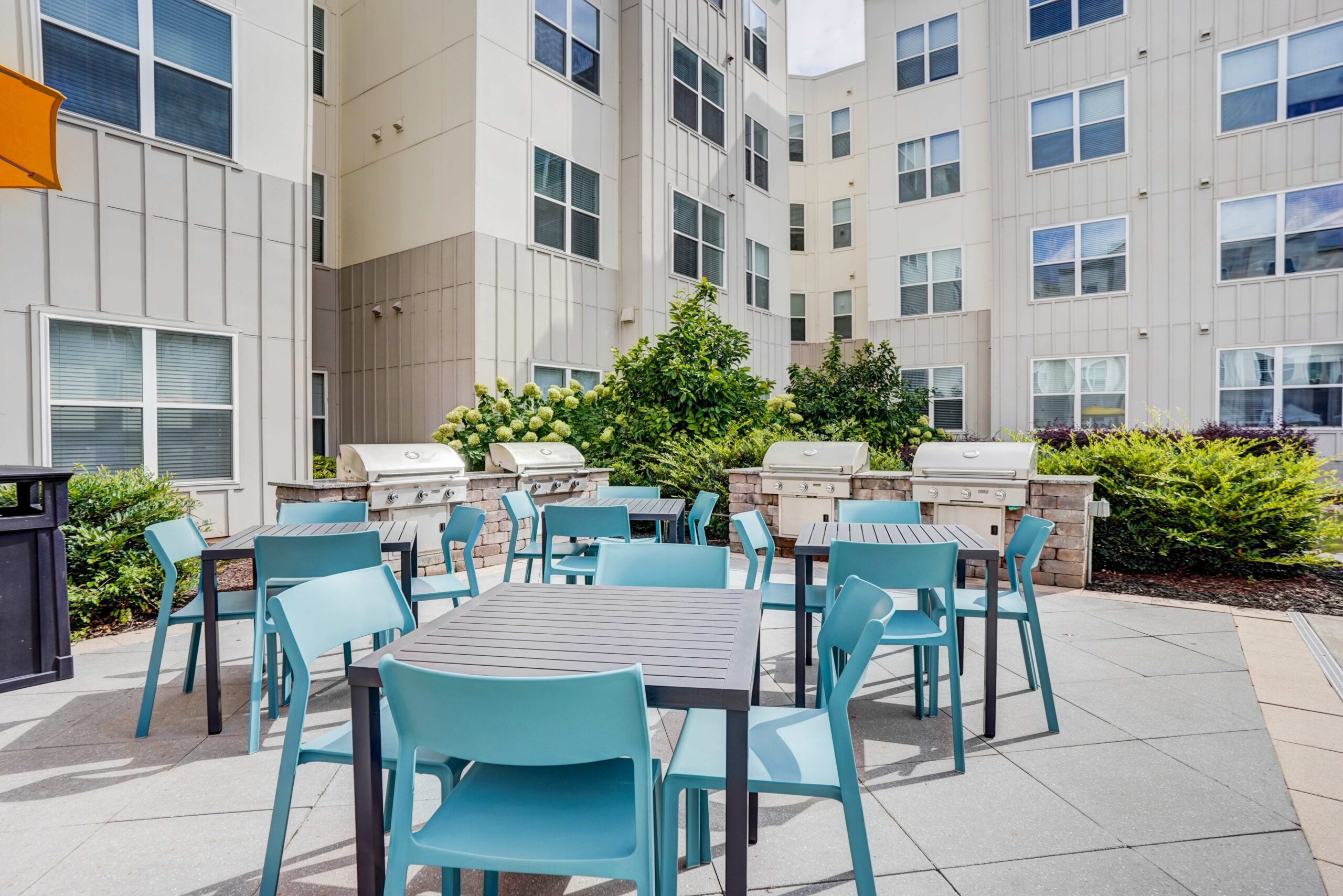 Gallery 6 Untitled design 4 scaled